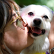 Dogs. AP